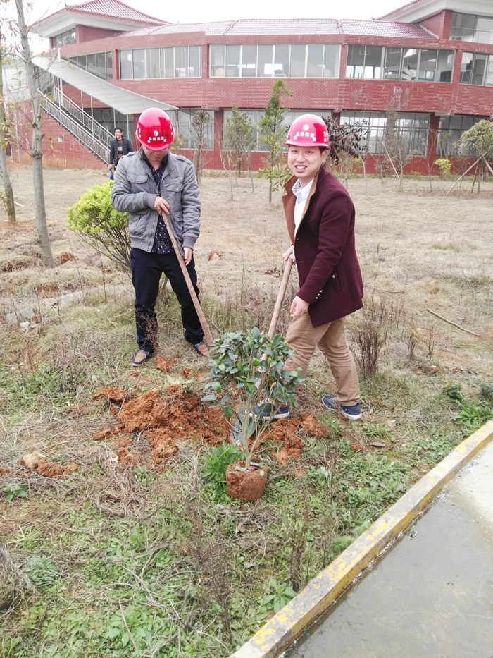 種一棵小樹，綠一方凈土